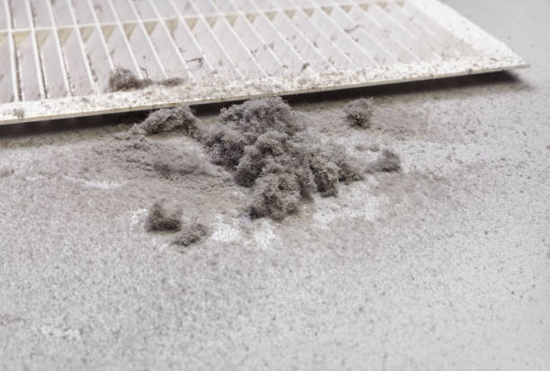 Best Local Air Duct Cleaning Services  in Runnemede, NJ