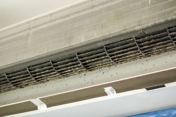 Best Air Duct Cleaning Near Me  in Runnemede, NJ